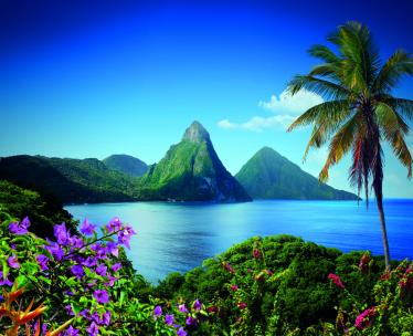 St. Lucia & Beyond
