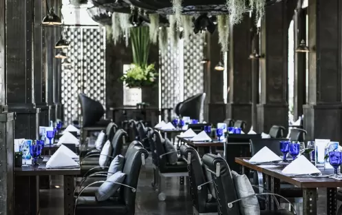 SUNDAY BRUNCH INTERIOR