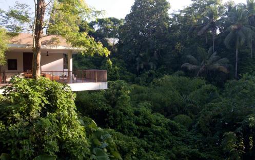 Alila Ubud-Terrace Tree Villa 1_8074