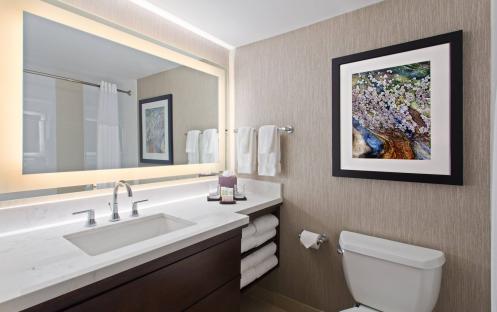Embassy Suites by Hilton Orlando International Drive - Bathroom