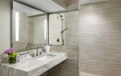 Boston Park Plaza - Garden Suite Dressing Room