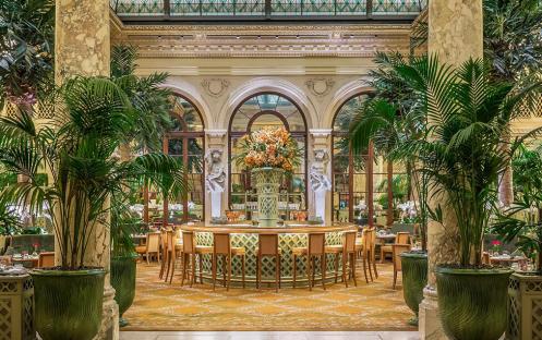 The Plaza Hotel New York - Palm Court Overview