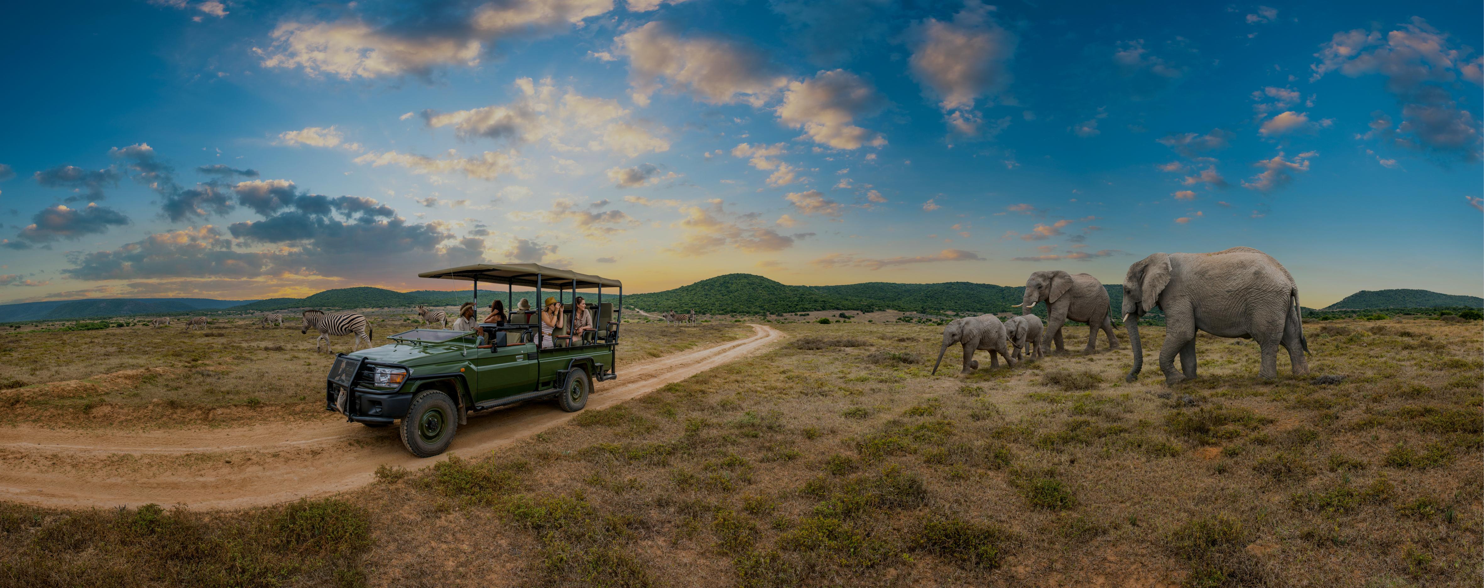 South Africa Tours