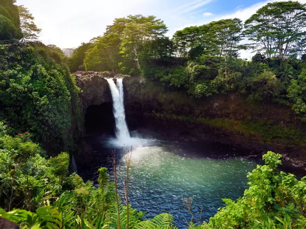 Maui & Island of Hawaii