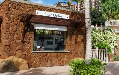 Little Opihi's Little Opihi's