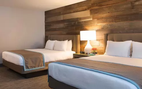 Double Two Queen Beds