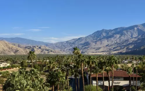 Renaissance Palm Springs Hotel - Junior Suite Renaissance Palm Springs Hotel - Junior Suite