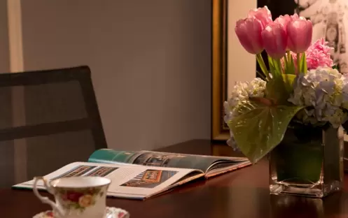 Studio Suite