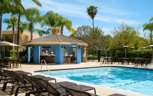 SPLASH Pool Bar