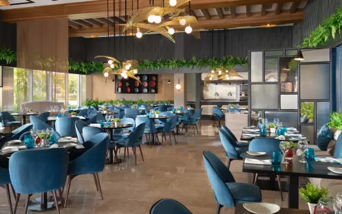 Onyx Punta Cana - Restaurants - BlueWater-Grill