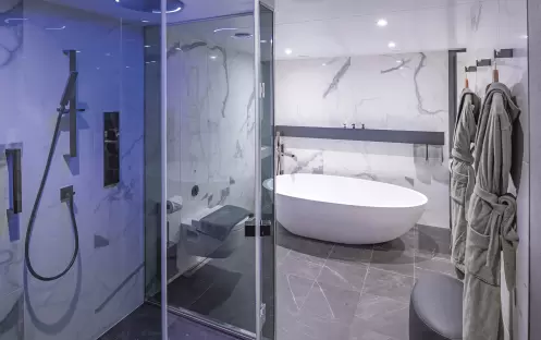 Scenic Eclipse Panorama Suite - Bathroom