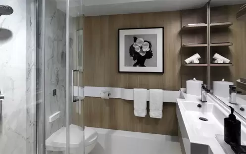 Celebrity Cruises Celebrity Edge Deluxe Ocean View Stateroom