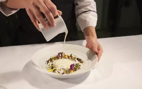 Scenic Eclipse - Lumière - Cauliflower cream 3