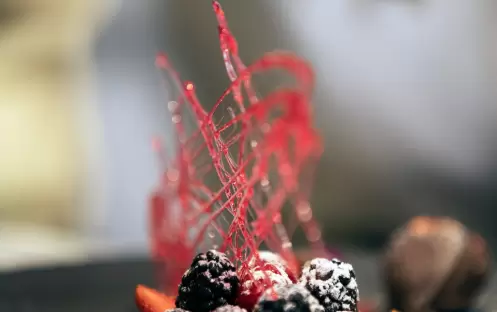 Silversea Cruises - Silver Dawn - Dining - S.A.L.T Restaurant Cuisine