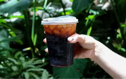 Conservatory Café