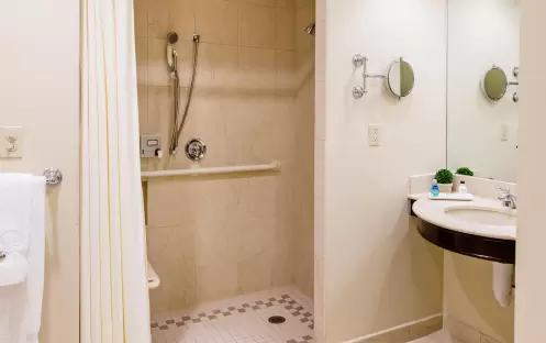 Junior Suite Bathroom