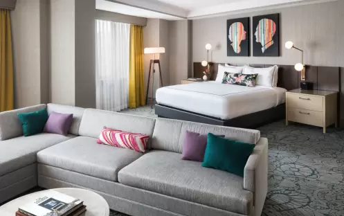 Studio Suite Overview