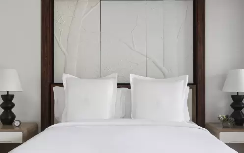 Mountain-View One-Bedroom Suite