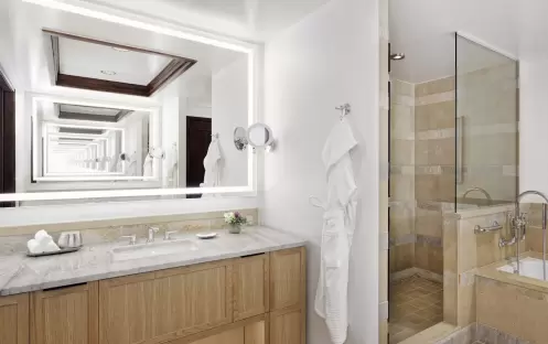 Mountain-View One-Bedroom Suite