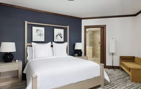 Valley-View One-Bedroom Suite