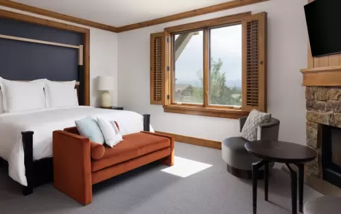 Speciality Suite
