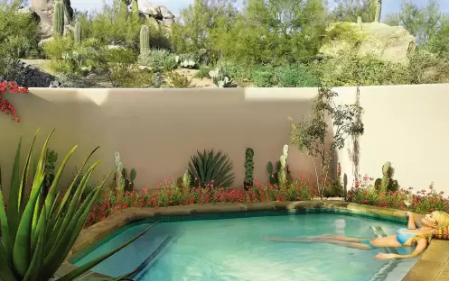Oasis Plunge Pool Suite One Bedroom