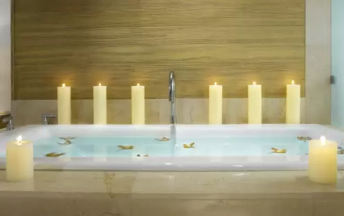 Signature Suite Double Bathtub Signature Suite Double Bathtub