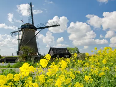 Dutch Waterways