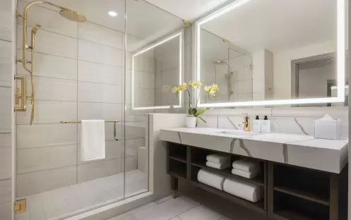 Deluxe Room Bathroom Deluxe Room Bathroom