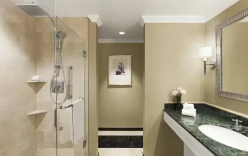 Deluxe Room - Bathroom