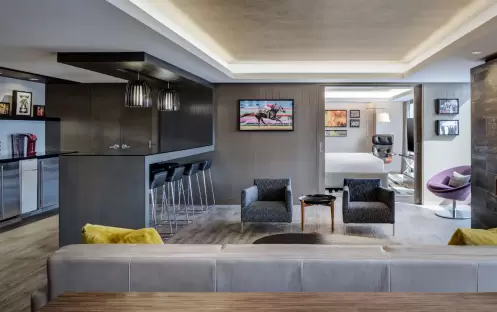 VIP Luxury Suite VIP Luxury Suite