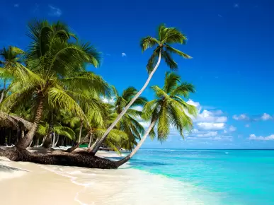 Caribbean Caribbean