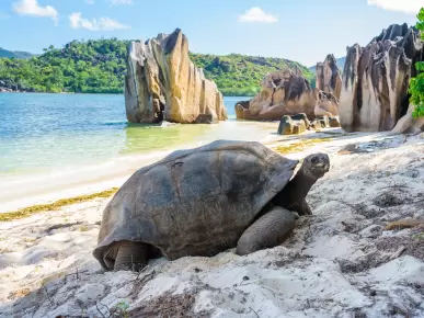 Aldabra