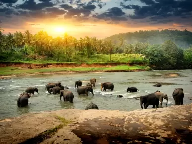 Sri Lanka