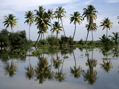 Kerala Backwaters