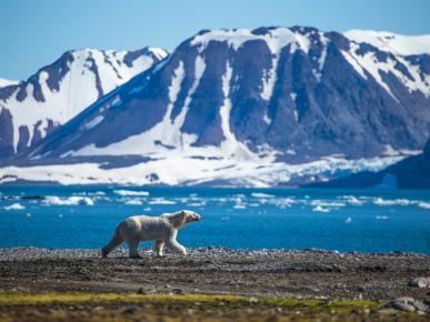 Svalbard (Spitzbergen)
