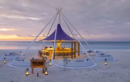 Tribe Tribe