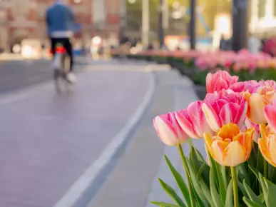 Amsterdam