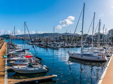 Vigo