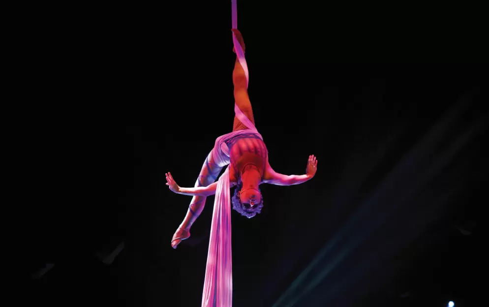 celebrity cruises theatre performance 1.jpg