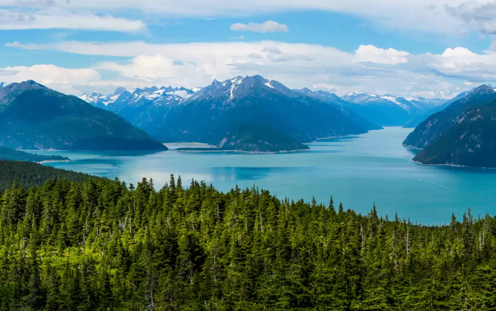 Alaska Cruises