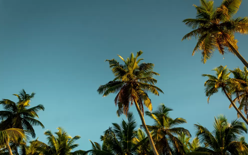 Alphonse Islands - Alphonse-Islands-Seychelles_66.jpg