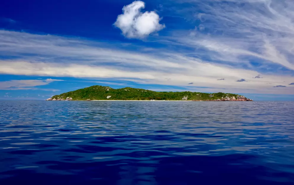 Aride Island - Aride-Island-Seychelles_121.jpg