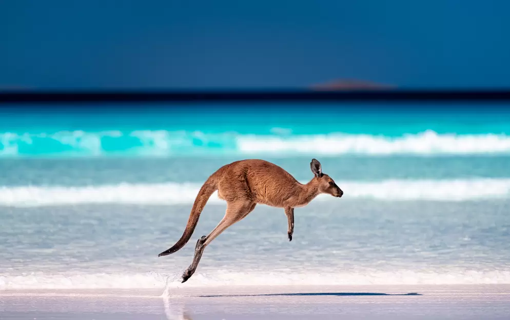 Australia Cruises