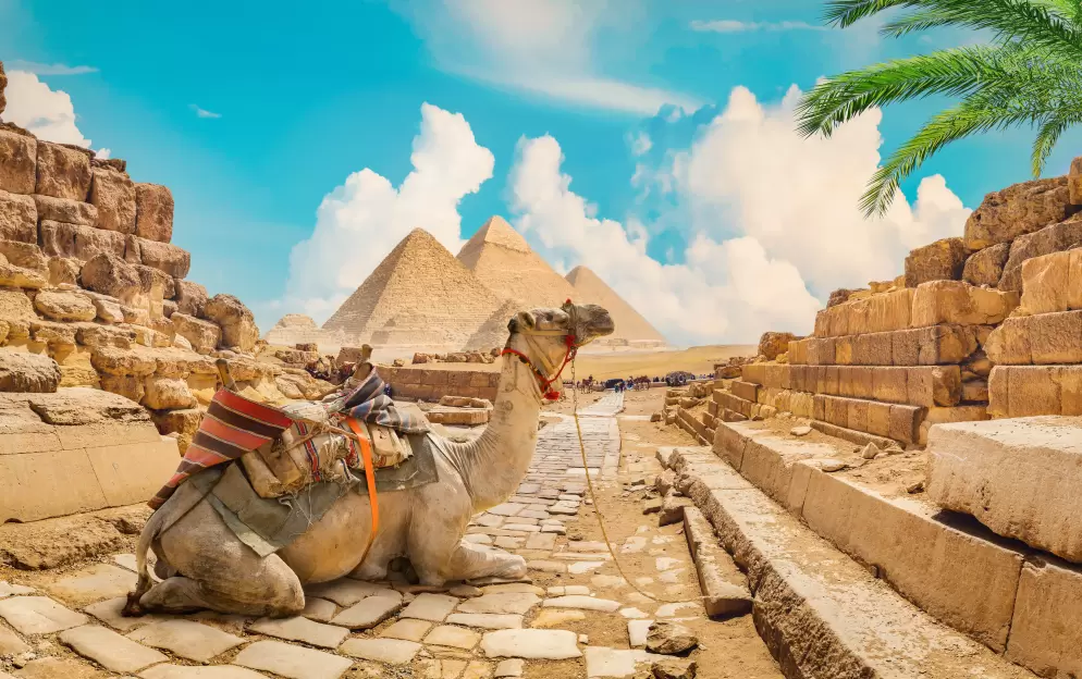 Cairo - Cairo_351.jpg