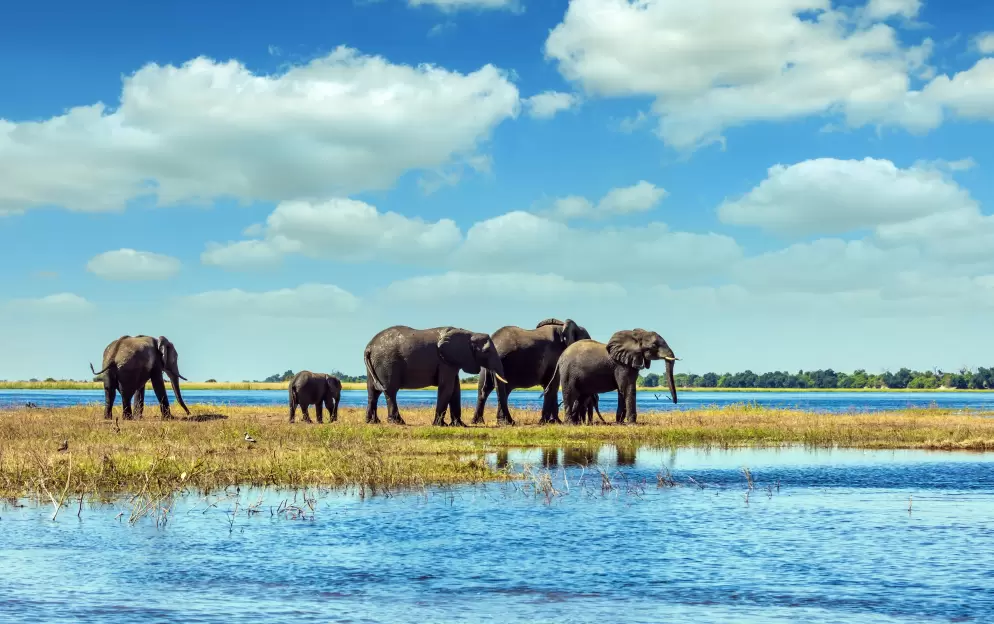 Chobe National Park - Chobe-National-Park-Botswana_449.jpg
