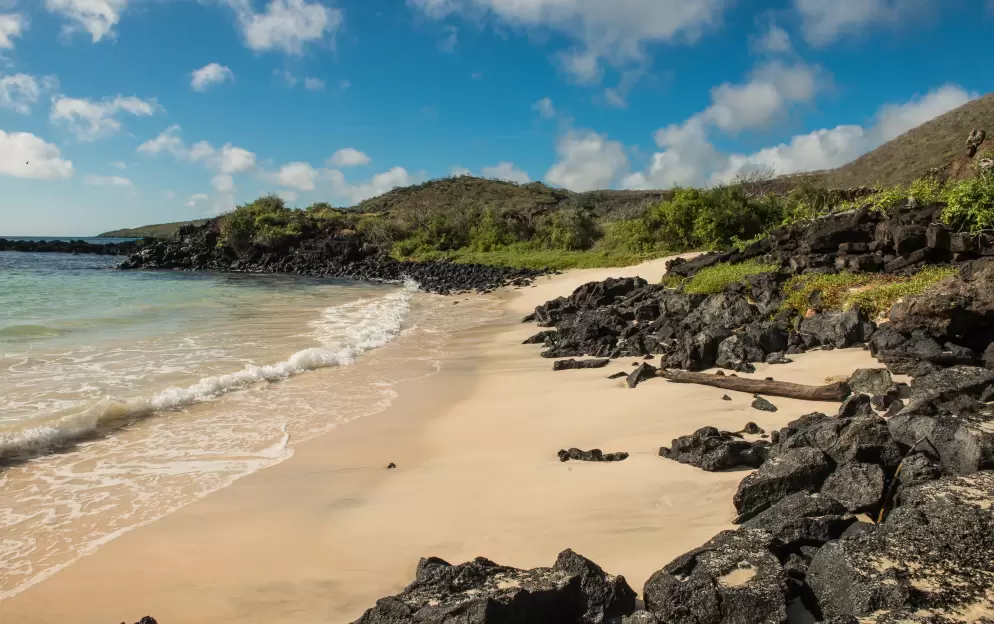 Floreana Island, Galapagos - Floreana-Island-Galapagos-Ecuador_498.jpg