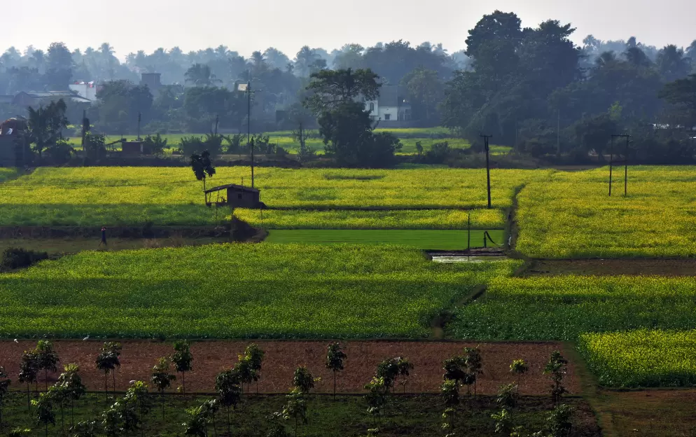 Matiari - Matiari-India_910.jpg