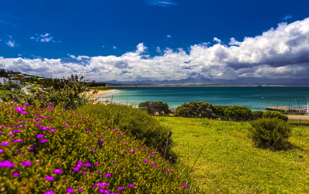 Mossel Bay - Mossel-Bay_980.jpg
