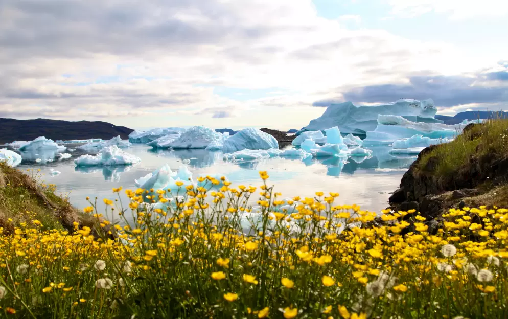 Narsaq - Narsaq-Greenland_1435.jpg